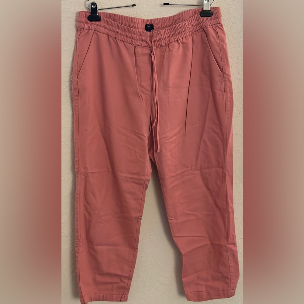 J. Crew Factory Coral Drawstring Ankle Pants